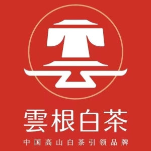 雲(yún)根白茶